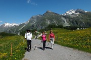 Valle e ghiacciaio del Forno dal Passo del Maloja (Svizzera) il 23 giugno 2016 - FOTOGALLERY